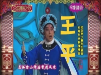 王平京劇演員(王平京劇演員介紹)