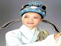 廖琪瑛越劇演員(越劇廖新斌個人資料)