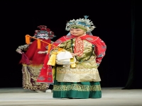 電影京劇楊門女將(電影京劇楊門女將免費觀看)