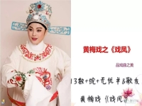 戲鳳黃梅戲(戲鳳黃梅戲原唱韓再芬)