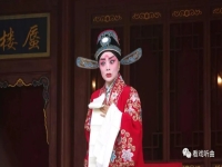 晉劇楊麗麗老公(晉劇楊麗麗哪里人哪年出生)