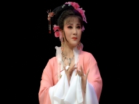 徐標(biāo)新越劇專場(越劇徐標(biāo)新全部名段mp3)