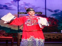 女駙馬黃梅戲原唱是誰(女駙馬黃梅戲原唱誰料皇榜中狀元)