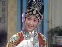 評(píng)劇花木蘭選段(評(píng)劇花木蘭選段陣前的花將軍簡譜)