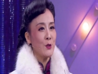 黃梅戲孫娟個人資料(黃梅戲孫雪蓮個人資料)