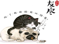 豫劇馮玉增簡(jiǎn)介(豫劇馮玉增簡(jiǎn)介百度百科)
