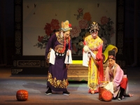 貍貓換太子京劇全集免費觀看(貍貓換太子戲曲全劇京劇第一部)