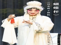 河北梆子蝴蝶杯藏舟一折(河北梆子蝴蝶杯藏舟田春鳥演唱)