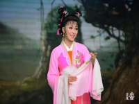 黃梅戲演員袁媛(黃梅戲演員袁媛出生年月)