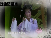 送王郎越劇伴奏(送王朗越劇情探唱詞)