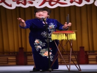 喬雙鎖墜子小八義17(喬雙鎖墜子小八義18集)