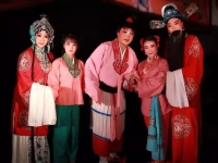 曲劇唱段大全視頻(曲劇選段的視頻大全)