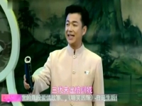 黃梅戲啼笑因緣全劇唱段(黃梅戲電視劇啼笑因緣唱段集錦)