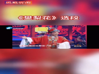 豫劇賈文龍經典全場戲(豫劇賈文龍經典全場戲曲)