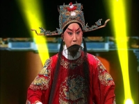 河北梆子潘楊訟全劇(河北梆子潘楊訟全劇視頻)