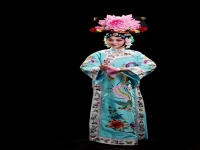 京劇中旦角的分類(京劇旦角的分類有哪些)