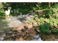張家界什么戲是張家界市永定區地方傳統戲劇的簡單介紹