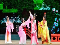 梅花賦京劇舞蹈視頻(梅花賦京劇舞蹈視頻毛老師)