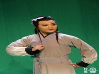 黃新德演唱的黃梅戲(黃新德演唱的黃梅戲專輯)