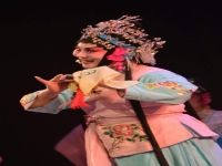 戲曲形式有哪些(戲曲形式有哪些特點)