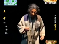 京劇華子良全劇(京劇電影華子良視頻)
