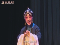 竇鳳琴秦腔名家名段(秦腔竇鳳琴第一任老公)