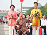 河南墜子趙翠英專輯(河南墜子趙翠英長篇墜子)