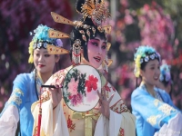 京劇十大名曲欣賞大全(京劇十大名曲欣賞大全簡譜)