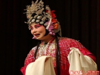 山東梆子名家唱全集(山東梆子名家名段演唱會)