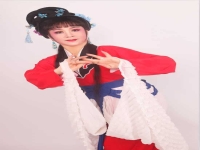 廣東潮劇藝術(shù)團(tuán)簡介(廣東潮劇藝術(shù)團(tuán)簡介視頻)