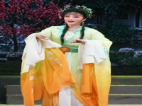 錫劇后珍珠塔全場(錫劇珍珠塔最后一場戲是什么)