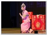 戲曲花為媒全劇(戲曲花為媒報(bào)花名選段)