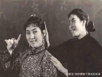 評劇楊三姐告狀谷文月(評劇楊三姐告狀谷文月版)