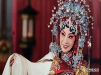 名人對京劇的評價(對中國京劇的評價的名人名言)