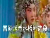 晉劇金水橋劇情介紹(晉劇金水橋劇情介紹大全)