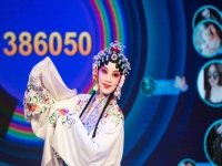 京劇張派演唱會(huì)(京劇張派演唱會(huì)專場(chǎng)表演)