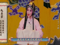 京劇名家趙秀君演唱會(京劇名家趙秀君演唱會全部視頻)