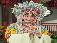 京劇王蓉蓉的經(jīng)典唱段狀元媒(京劇狀元媒宮中一折視頻王蓉蓉)