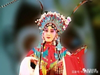 河南豫劇夸美人唱段(河南豫劇夸美人唱段劉東河)