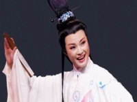 真假駙馬越劇全劇沈再平(經(jīng)典越劇劇目大全真假駙馬)