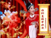 黃梅戲女駙馬誰料皇榜中狀元唱詞(黃梅戲女駙馬誰料皇榜中狀元選段唱詞)