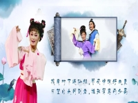 黃梅戲戲鳳(黃梅戲戲鳳鄧麗君徐小鳳演唱視視頻)