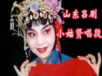 山東呂劇小姑賢全劇(山東呂劇小姑賢全劇李萍主演)