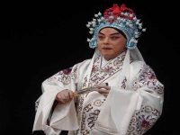 王夢云京劇名段欣賞(王夢云京劇名段欣賞大全)