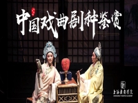 中國有多少戲曲劇種(中國多少戲曲劇種出名)