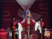 包公賠情曲劇(包公賠情曲劇包公賠情選段)