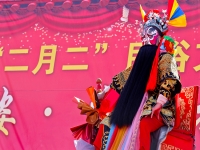 秦腔木偶戲楊紅梅斬黃袍(秦腔楊紅梅專場 木偶劇團)