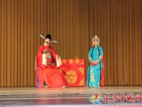 濟寧地方戲曲(濟寧哪里有唱戲的)