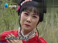 豫劇淚灑相思地全場戲詞(豫劇淚灑相思地戲詞李金枝)