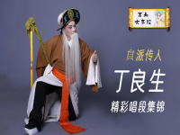 秦腔小生唱段精選視頻(秦腔小生唱段精選視頻全集)